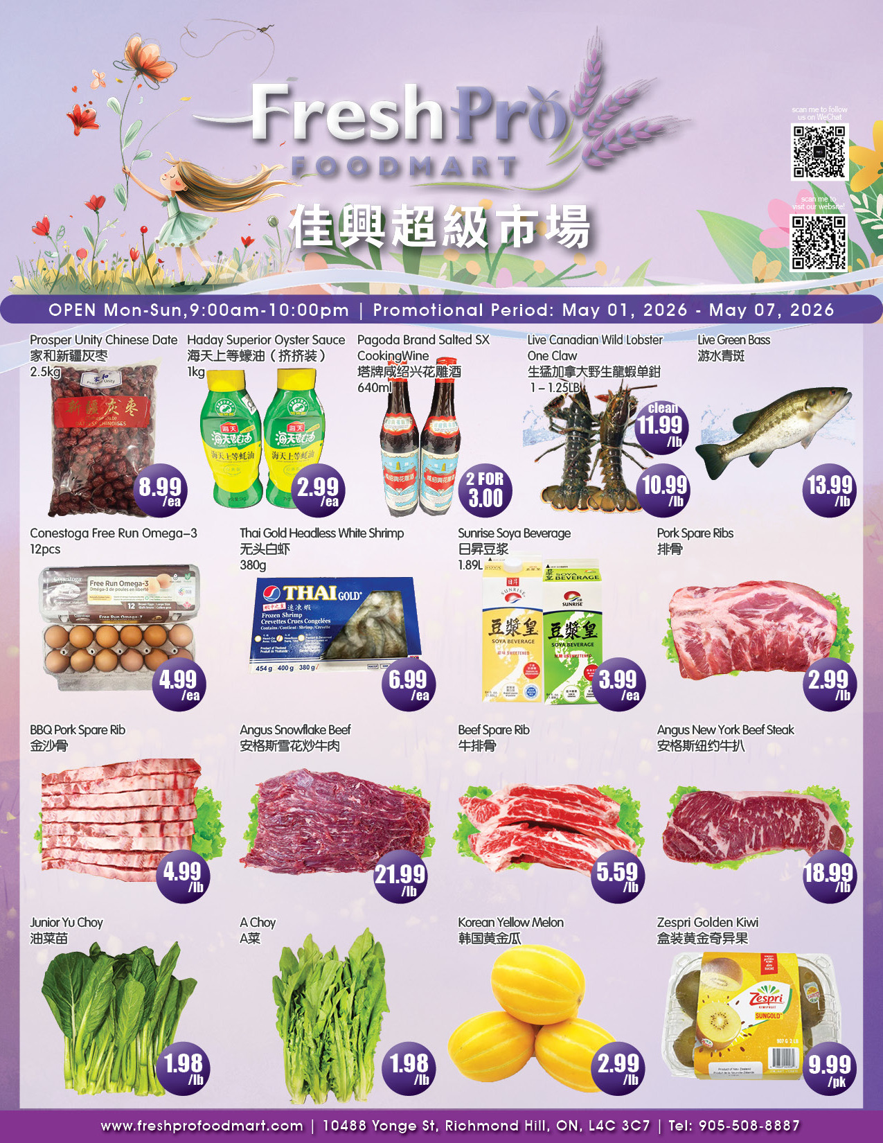 Flyer 第1页