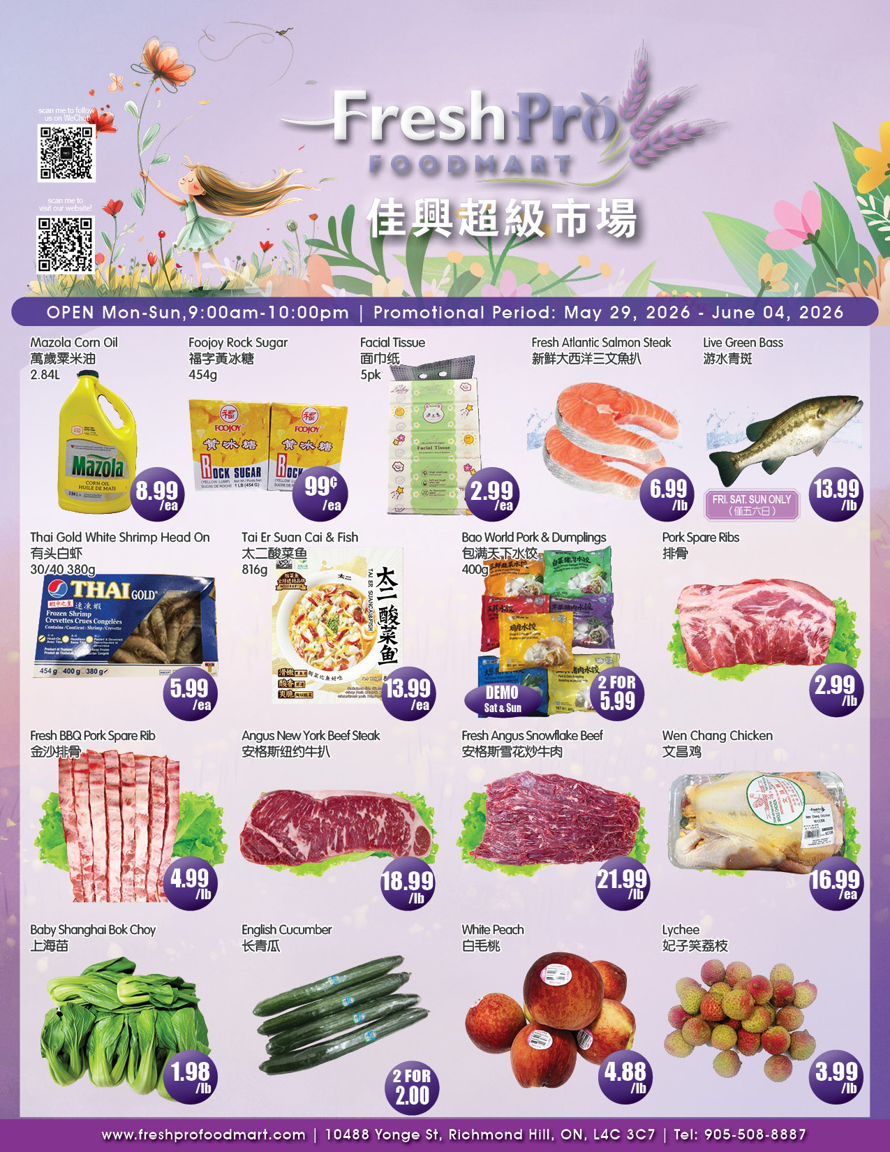 Flyer 第1页