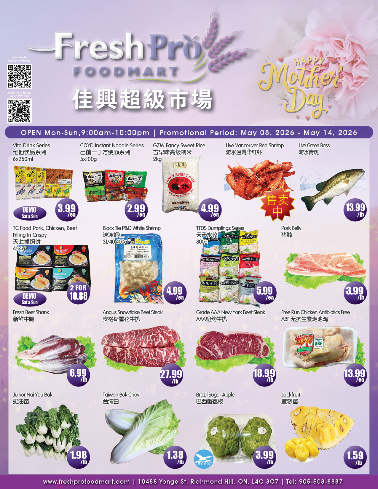 Flyer 第1页