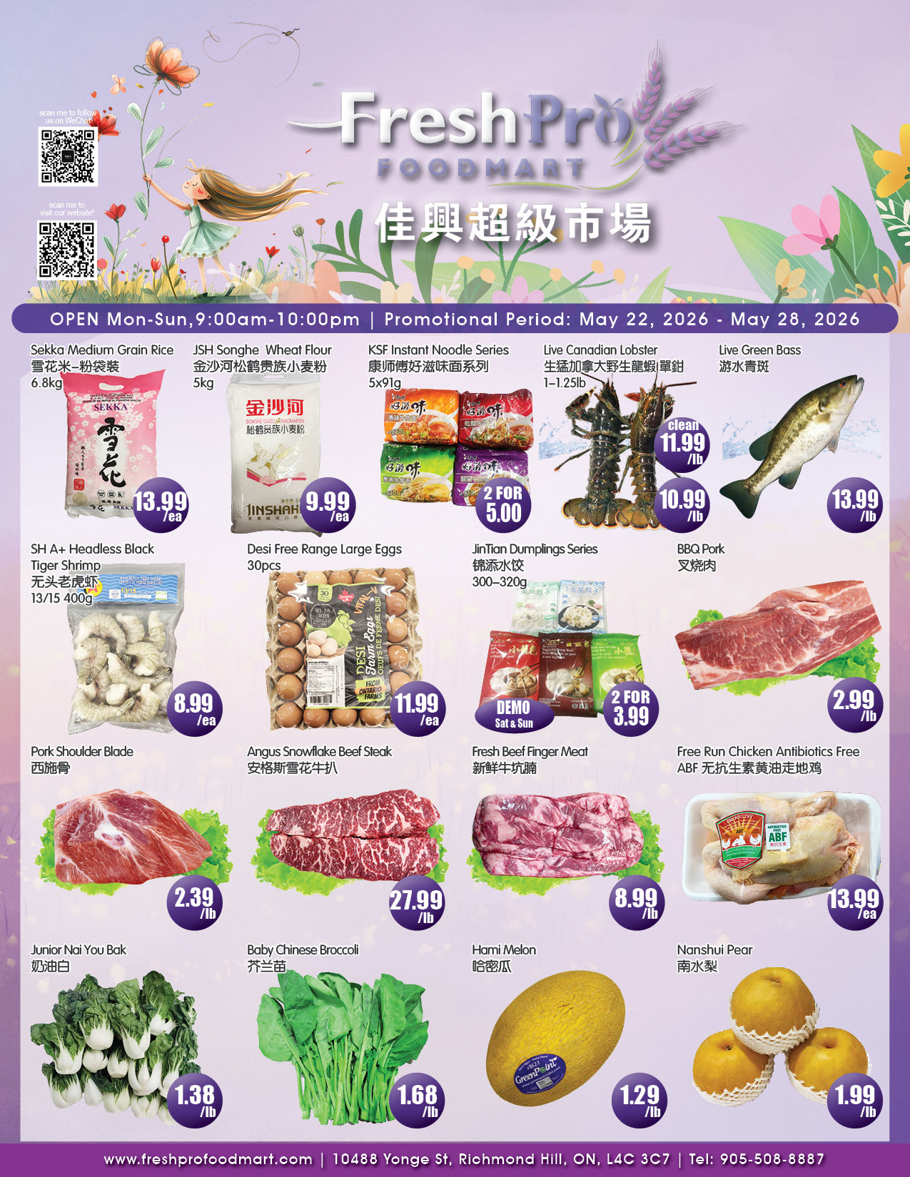 Flyer 第1页