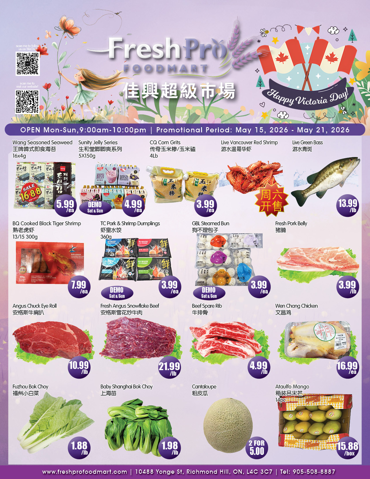 Flyer 第1页