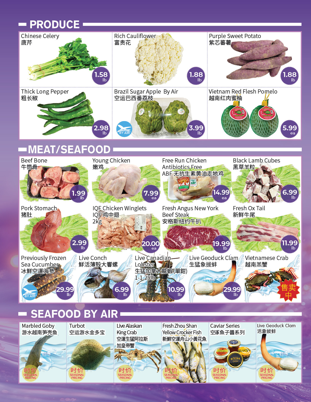 Flyer 第2页