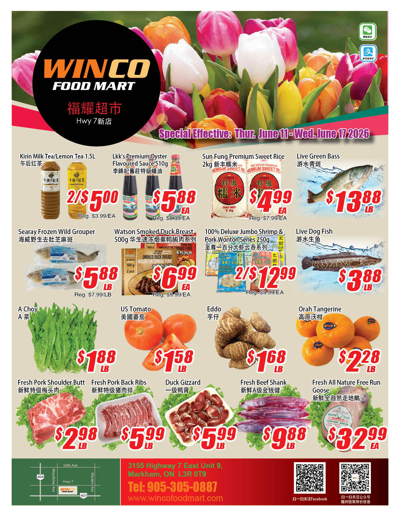 Flyer 第1页
