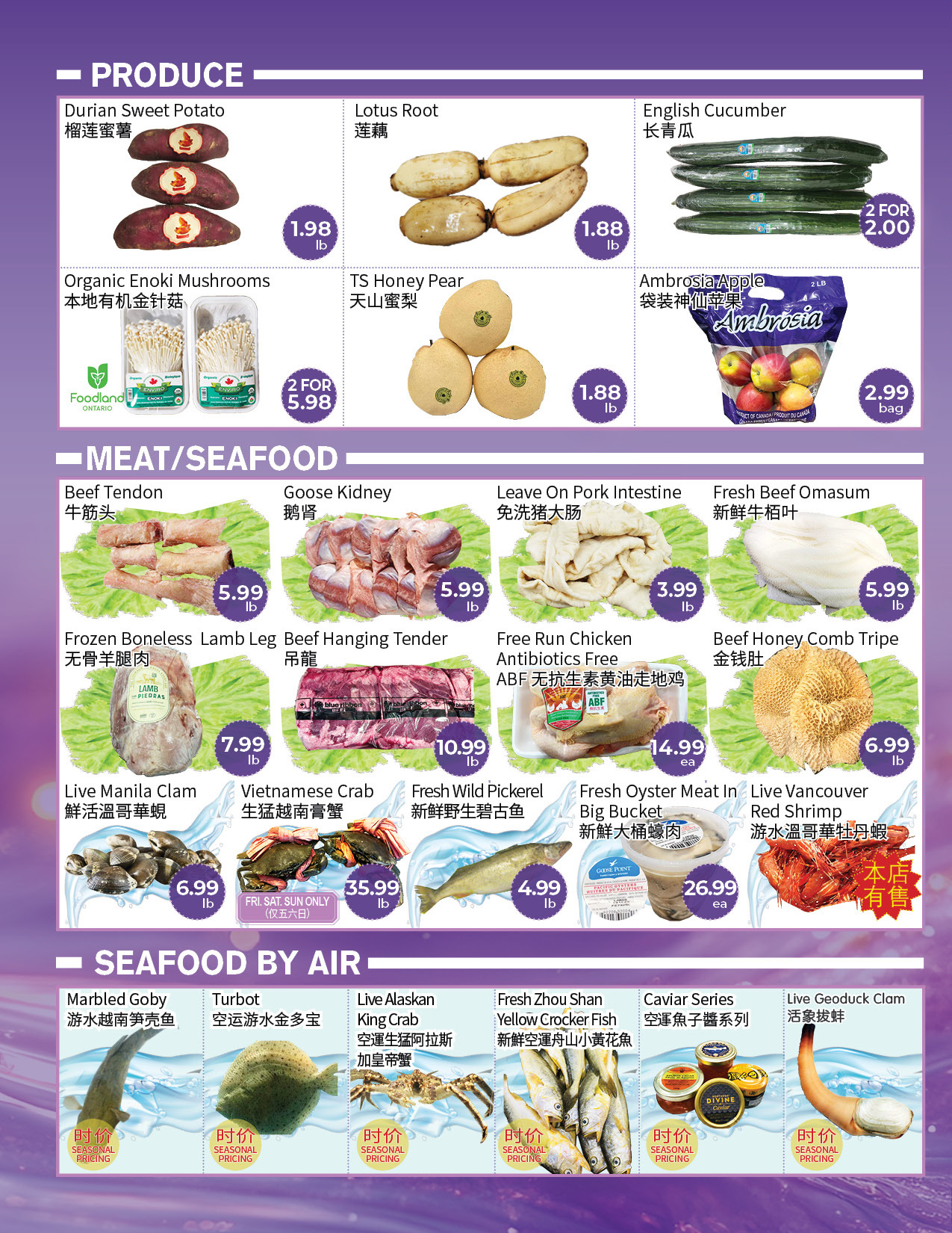 Flyer 第2页
