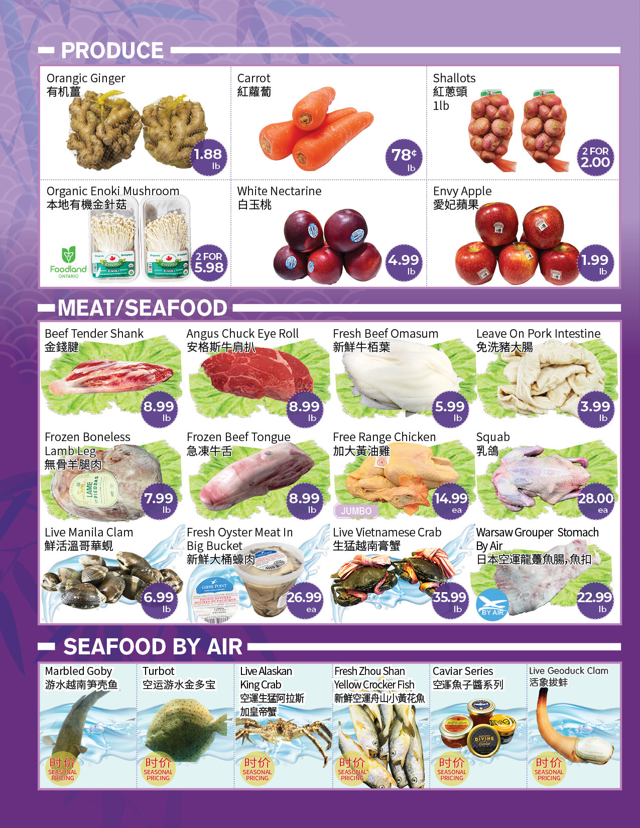 Flyer 第2页