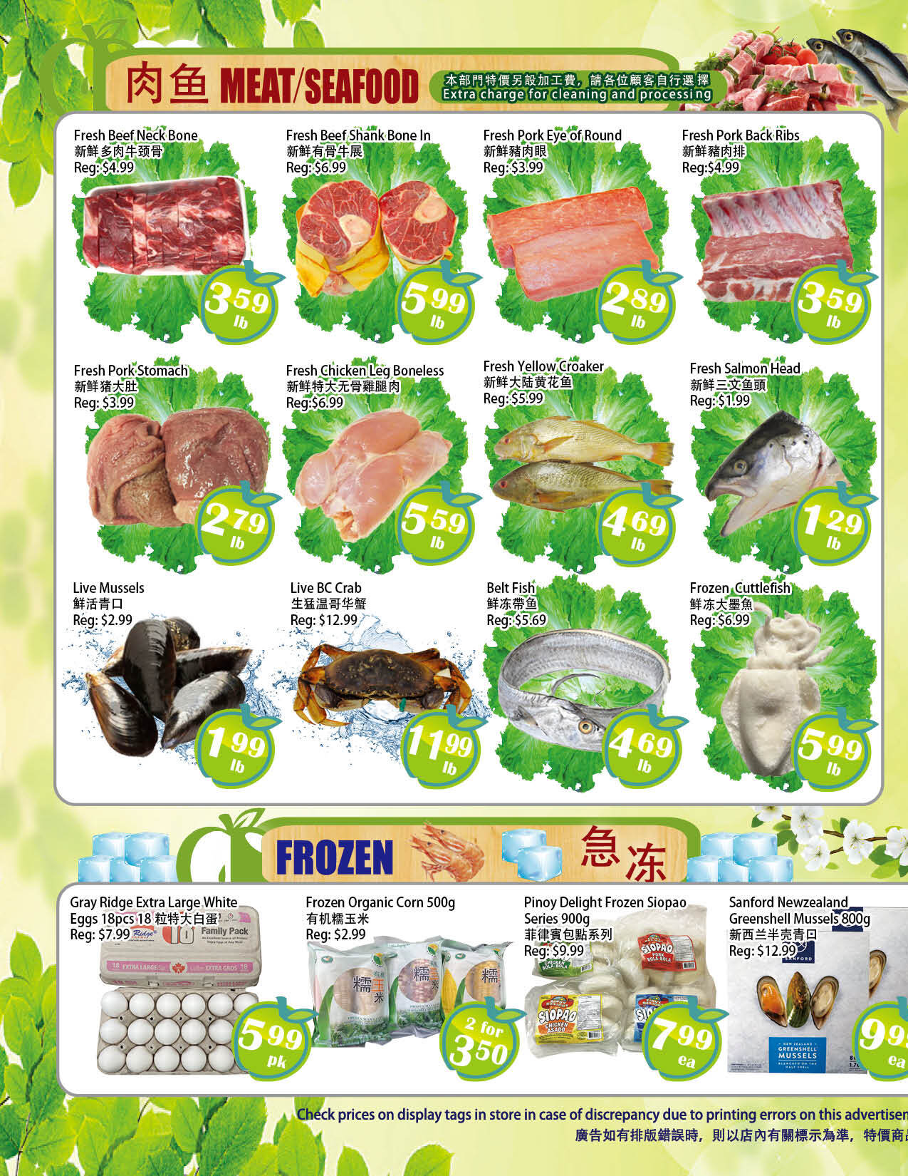 Flyer 第4页