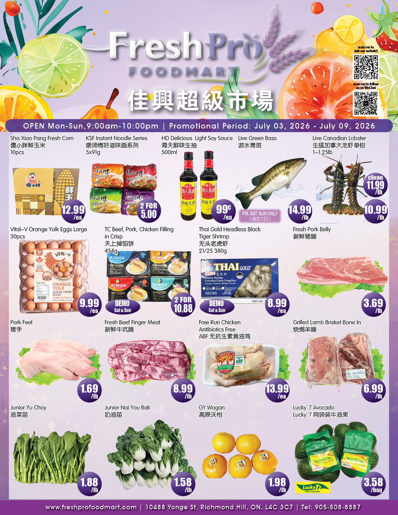 Flyer 第3页