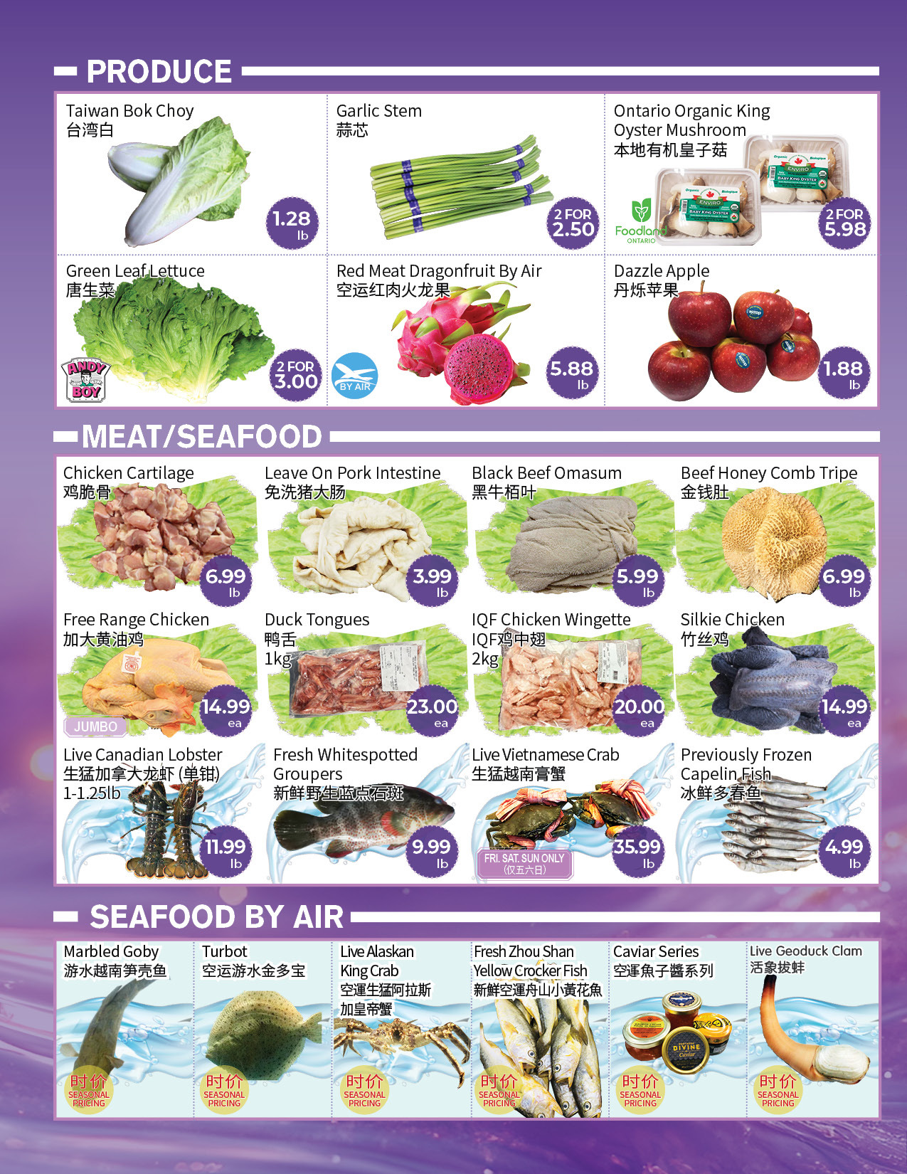 Flyer 第2页