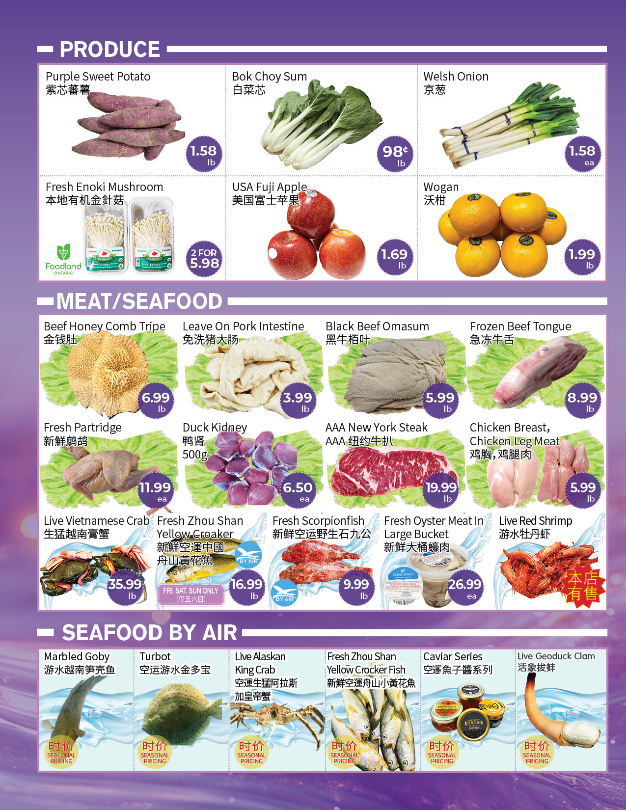 Flyer 第4页