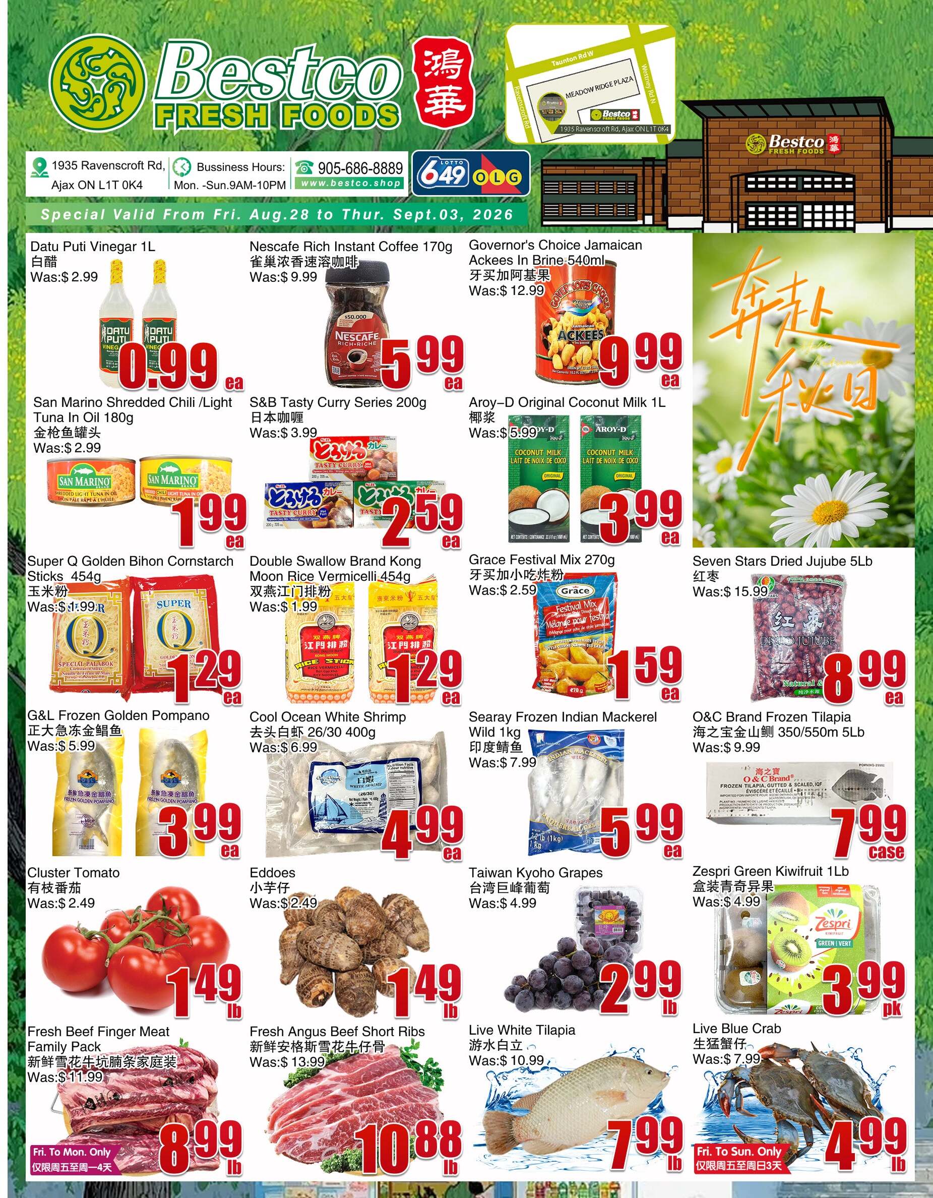 Flyer 第1页
