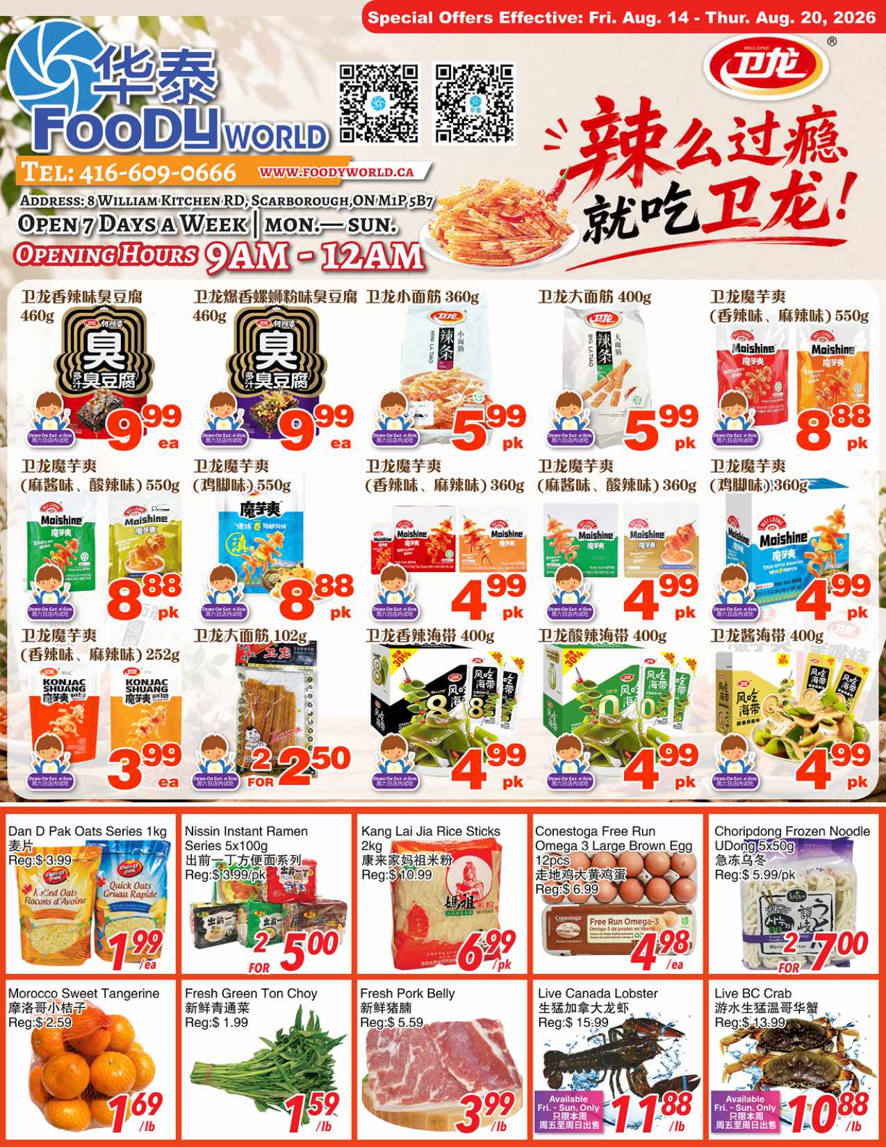 Flyer 第1页