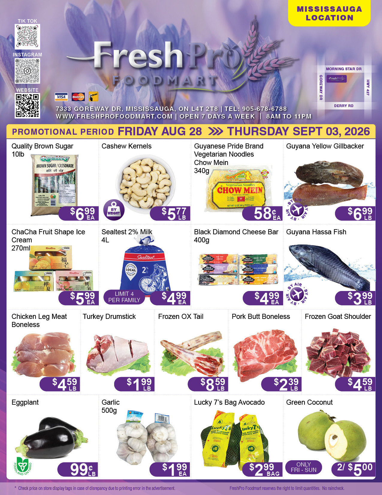 Flyer 第1页