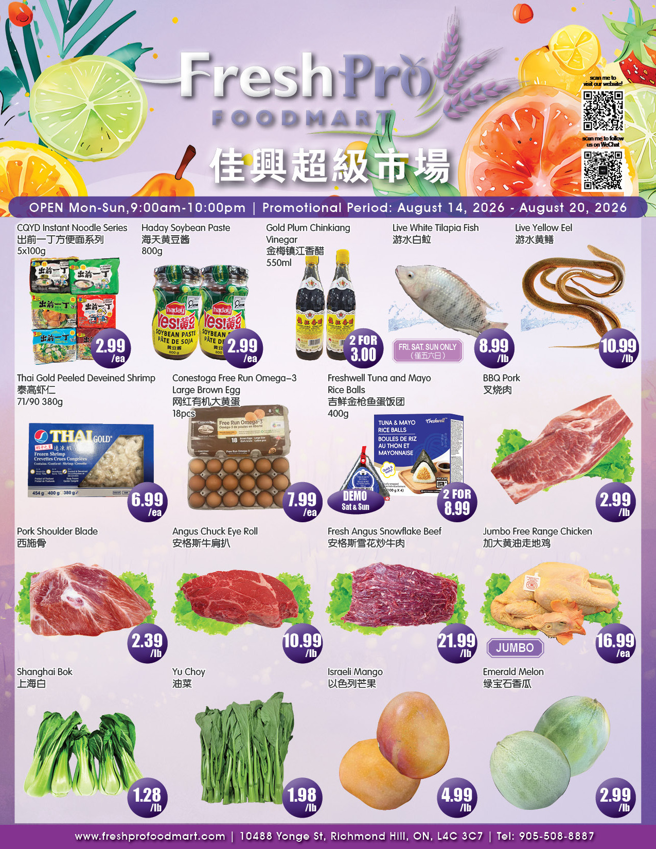 Flyer 第1页