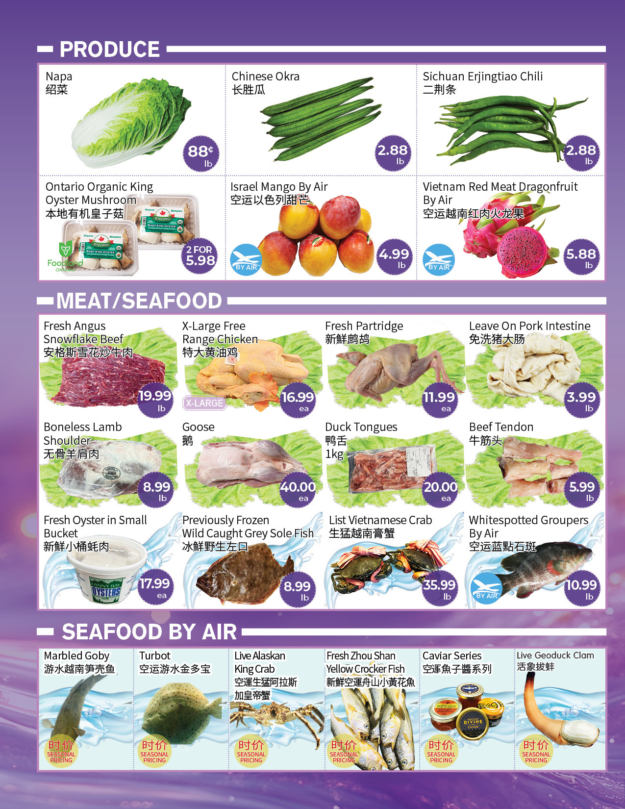 Flyer 第2页