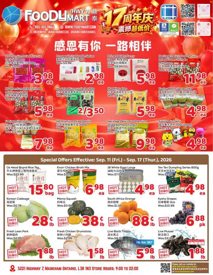 Flyer 第1页