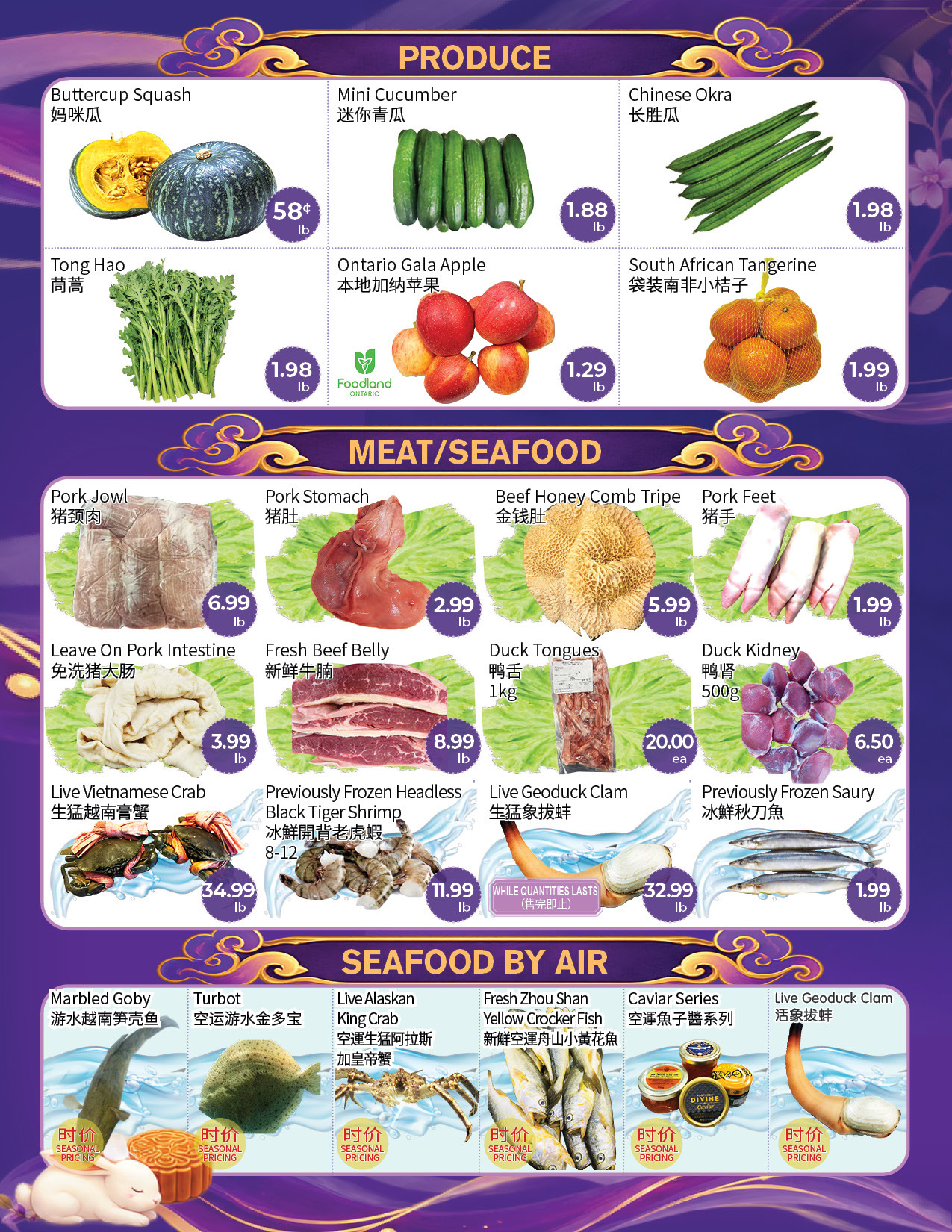 Flyer 第2页