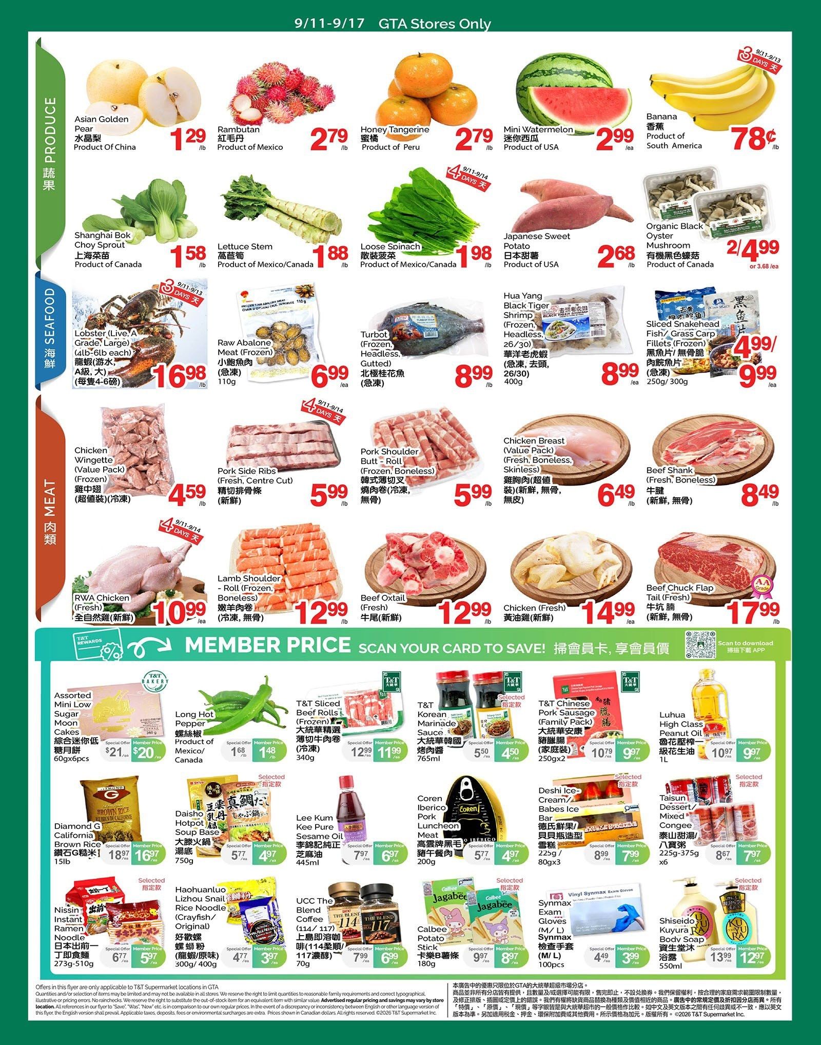 Flyer 第2页