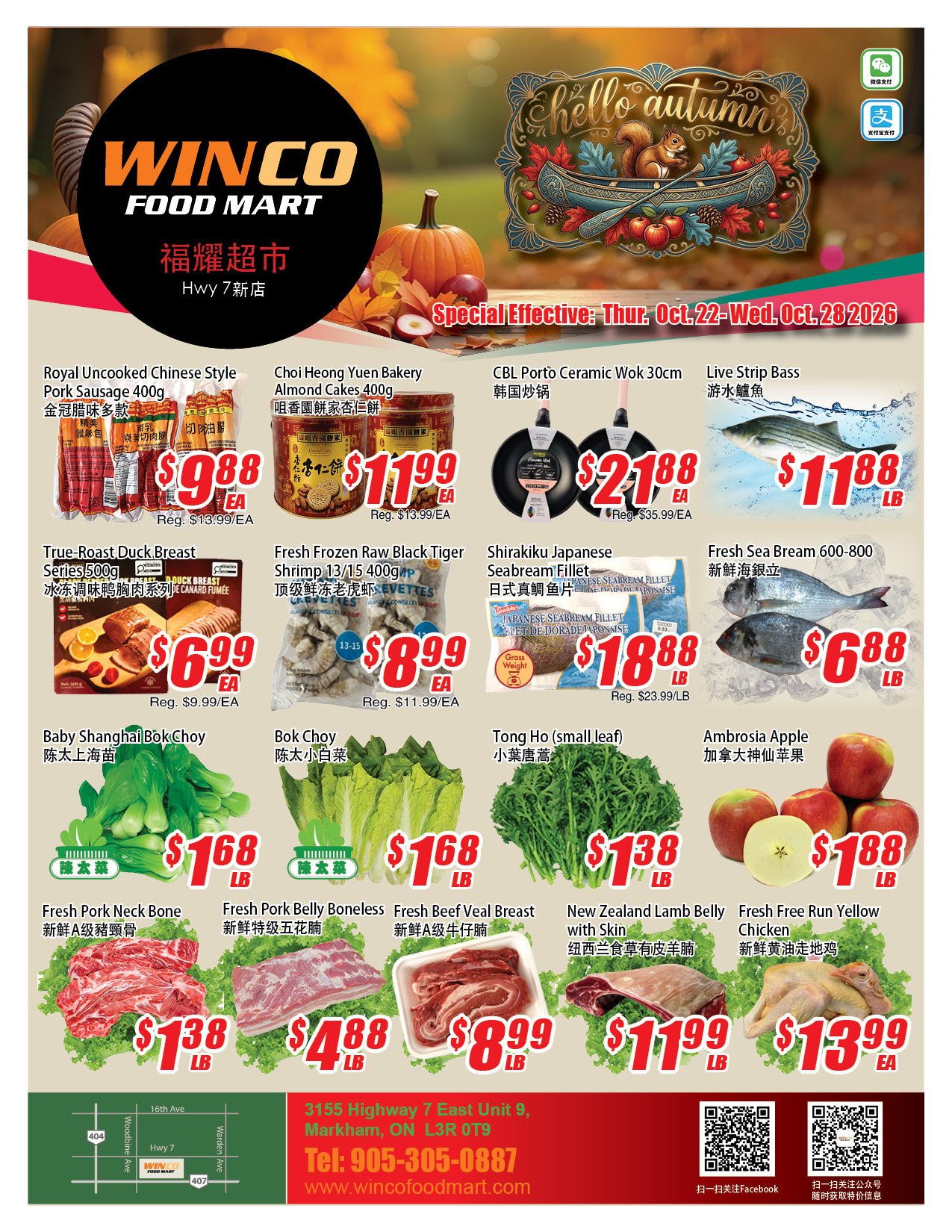 Flyer 第1页