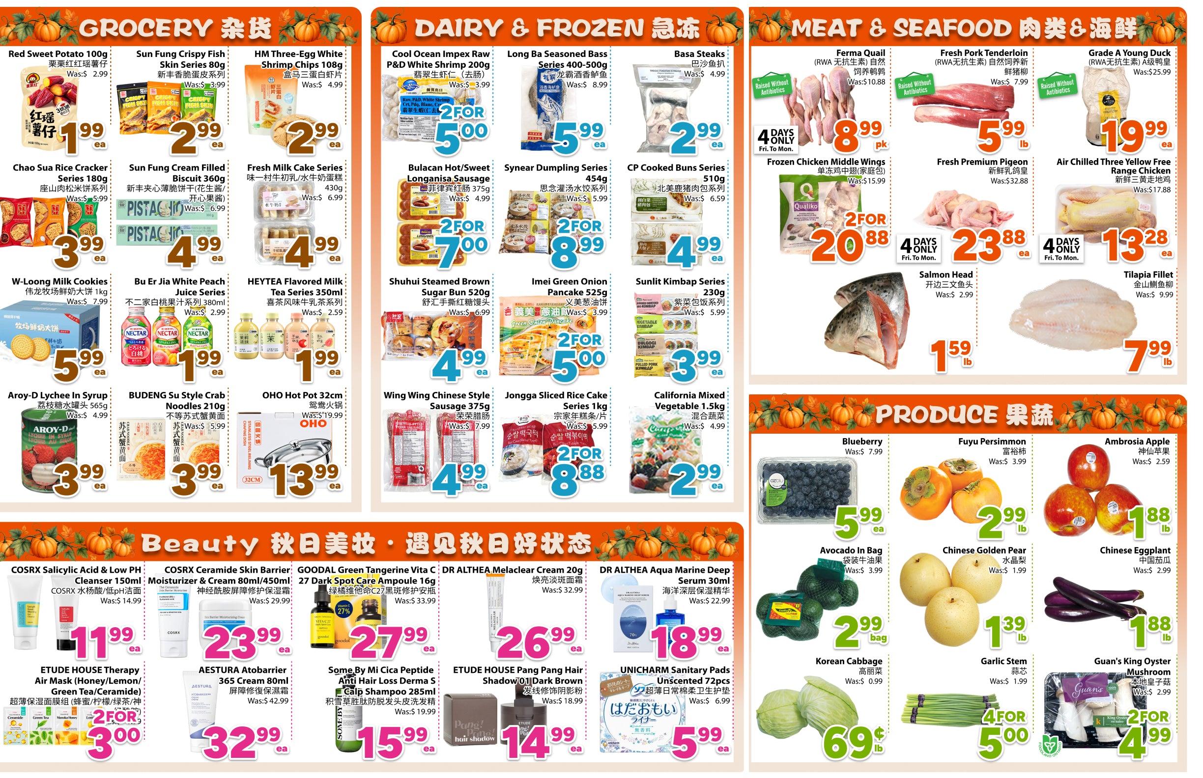 Flyer 第2页