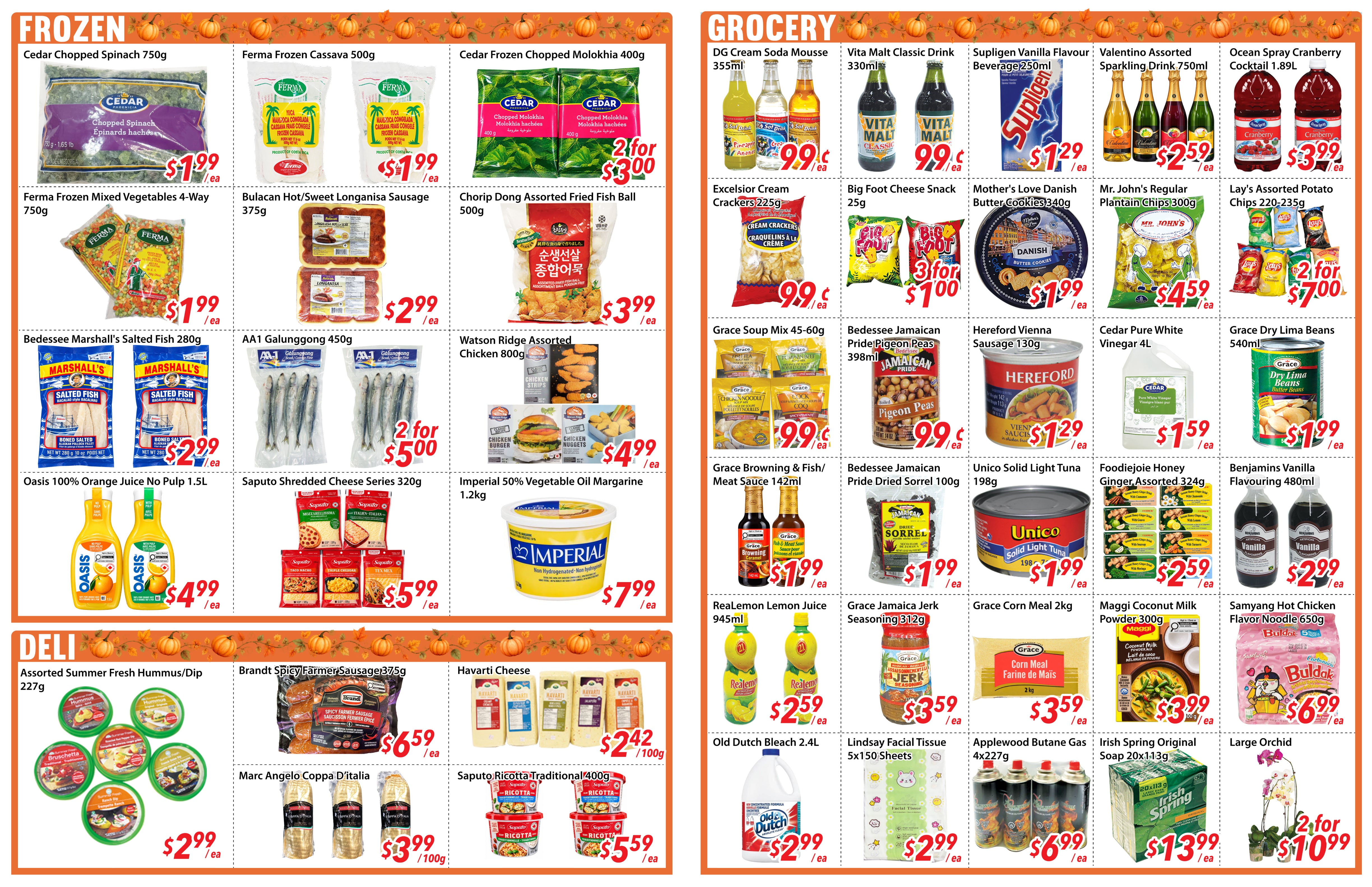 Flyer 第2页