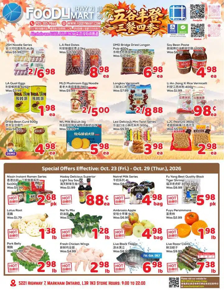 Flyer 第1页