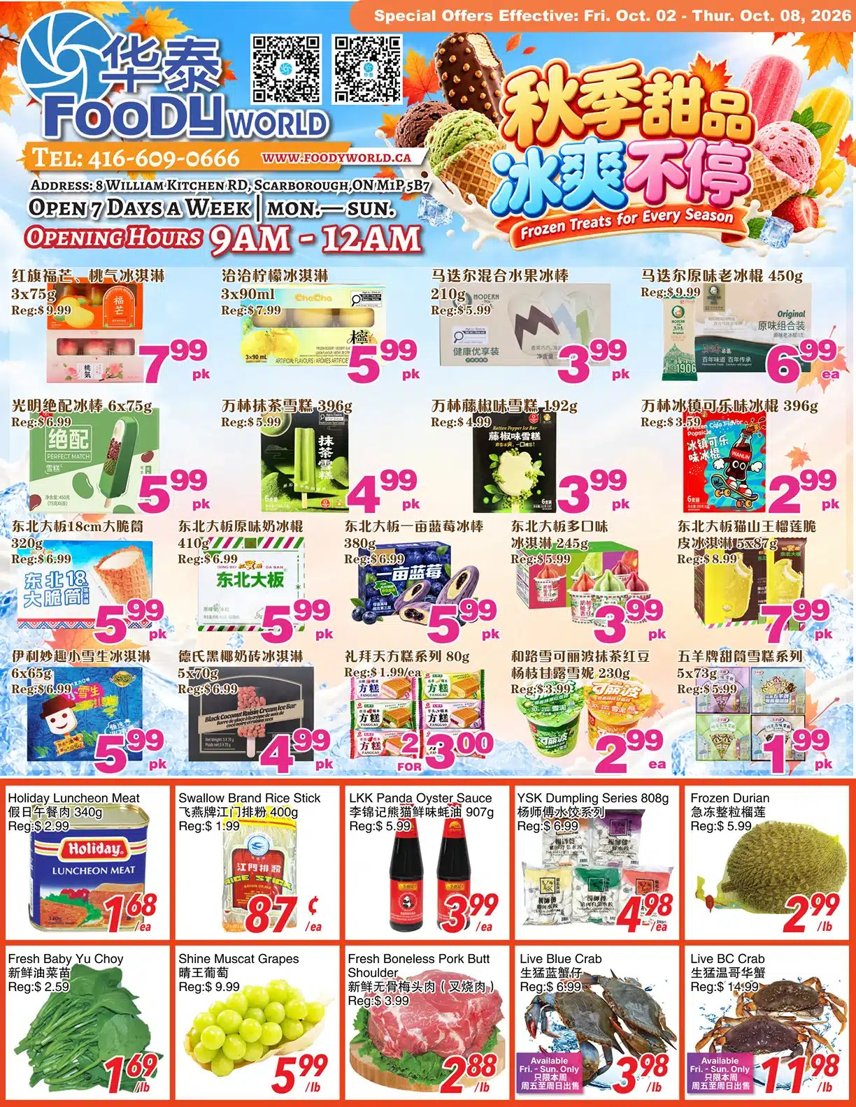 Flyer 第1页