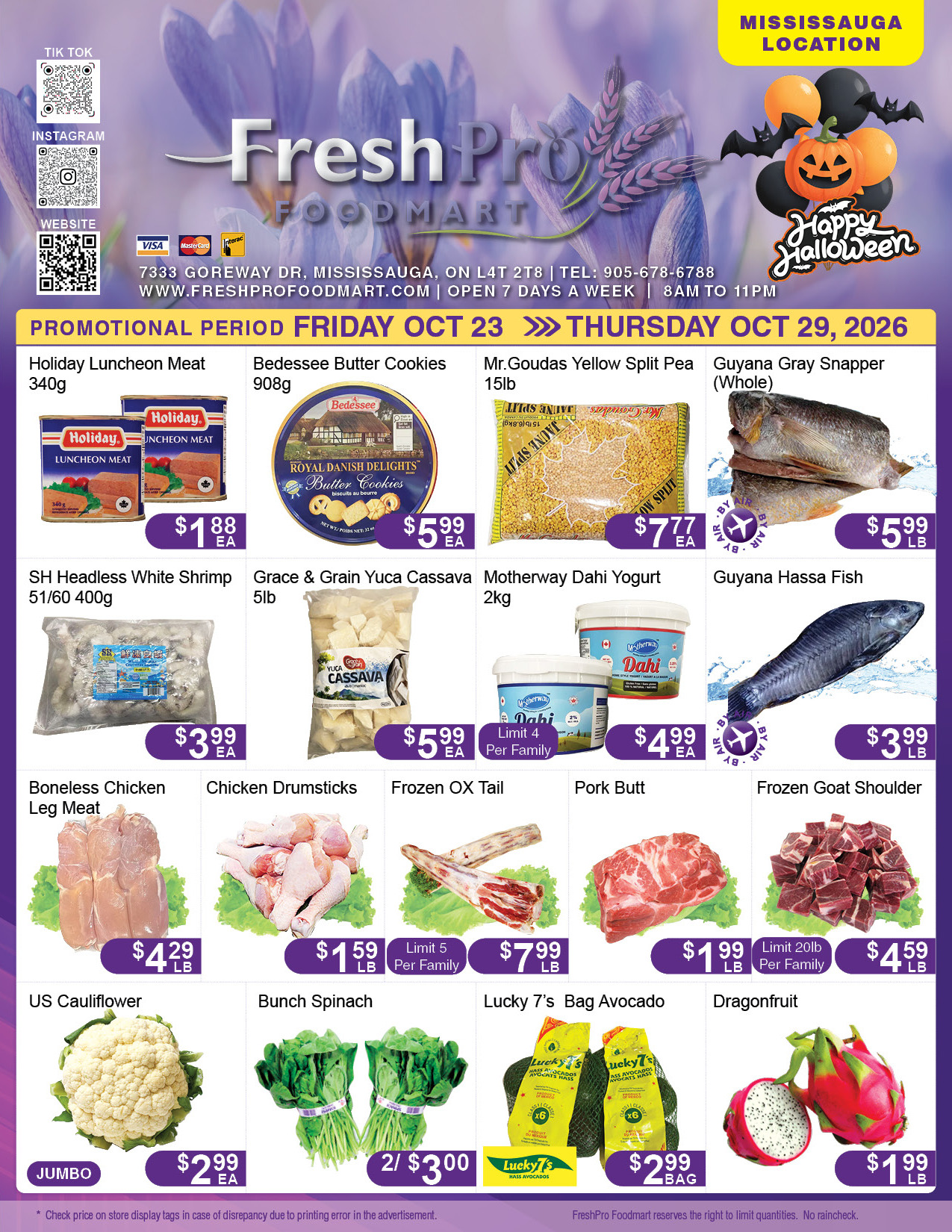 Flyer 第1页