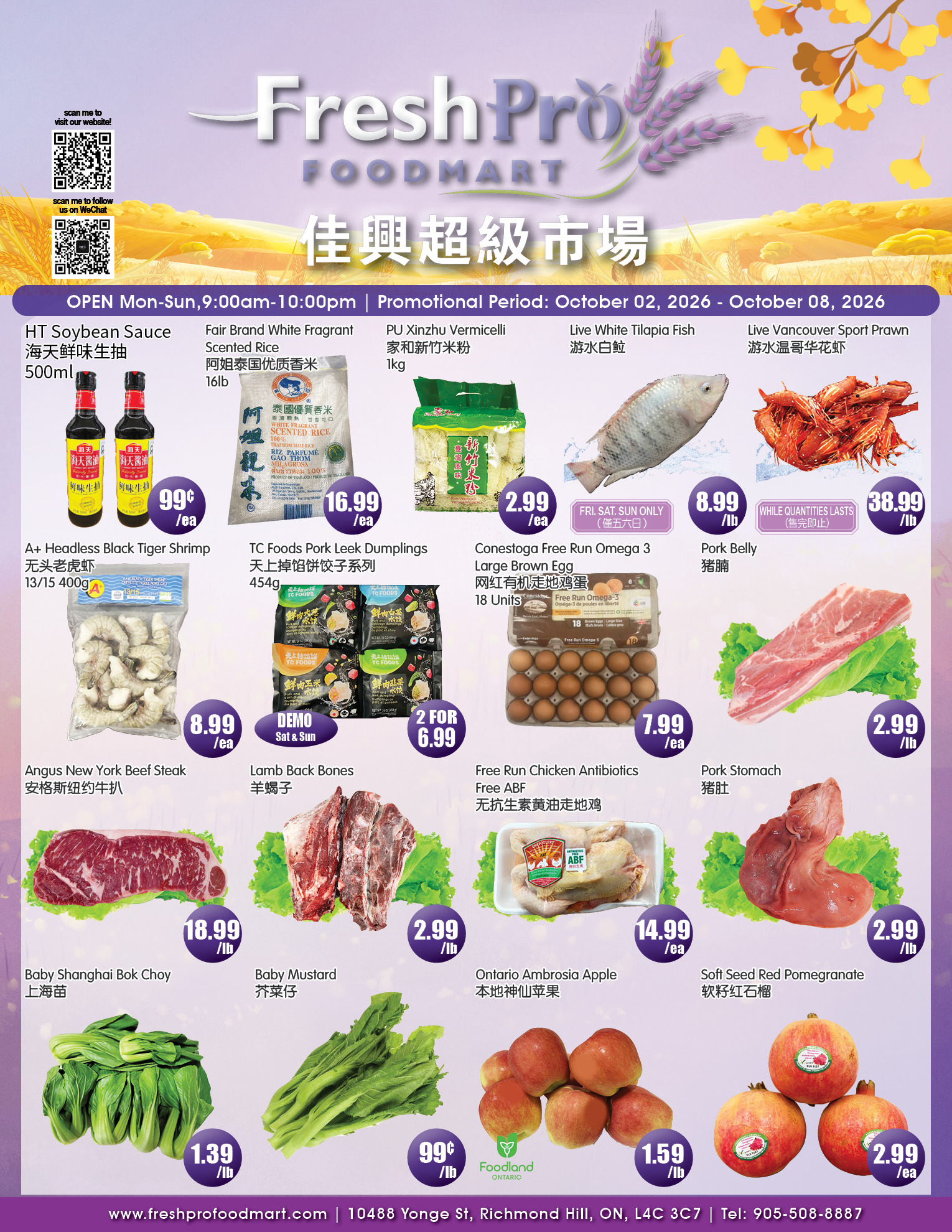 Flyer 第1页