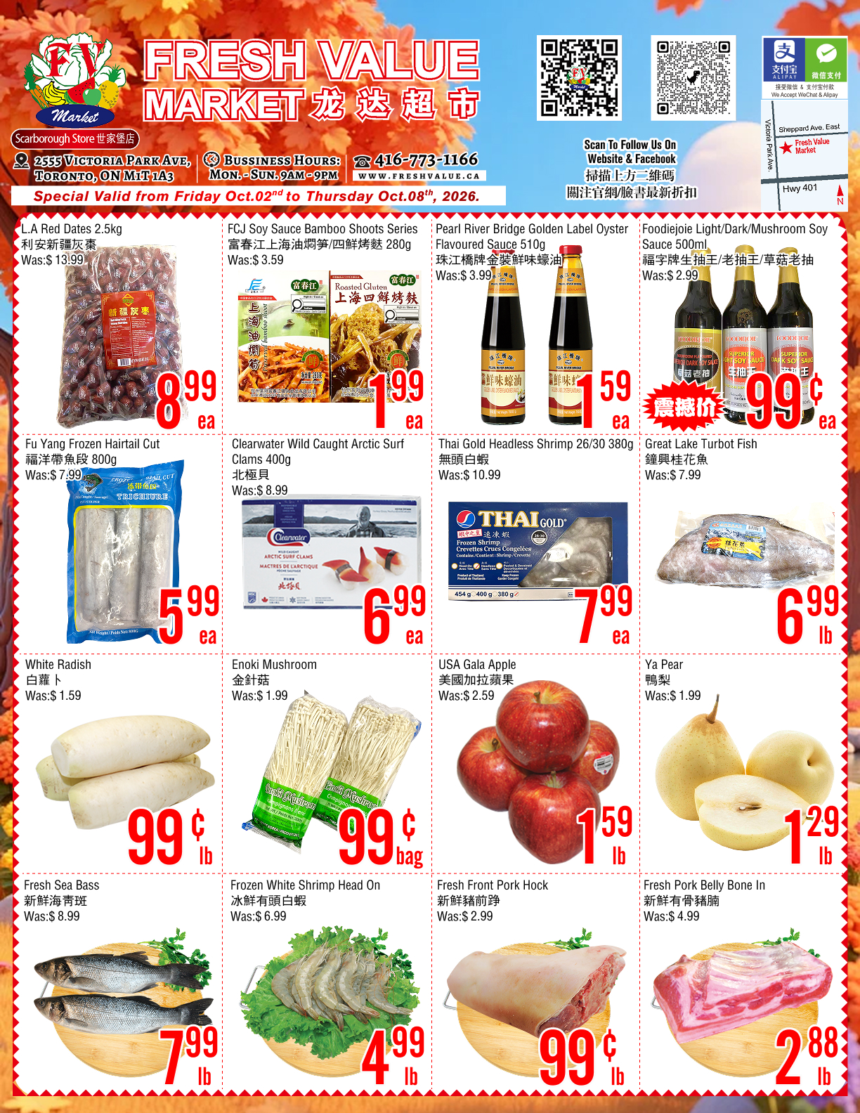 Flyer 第1页