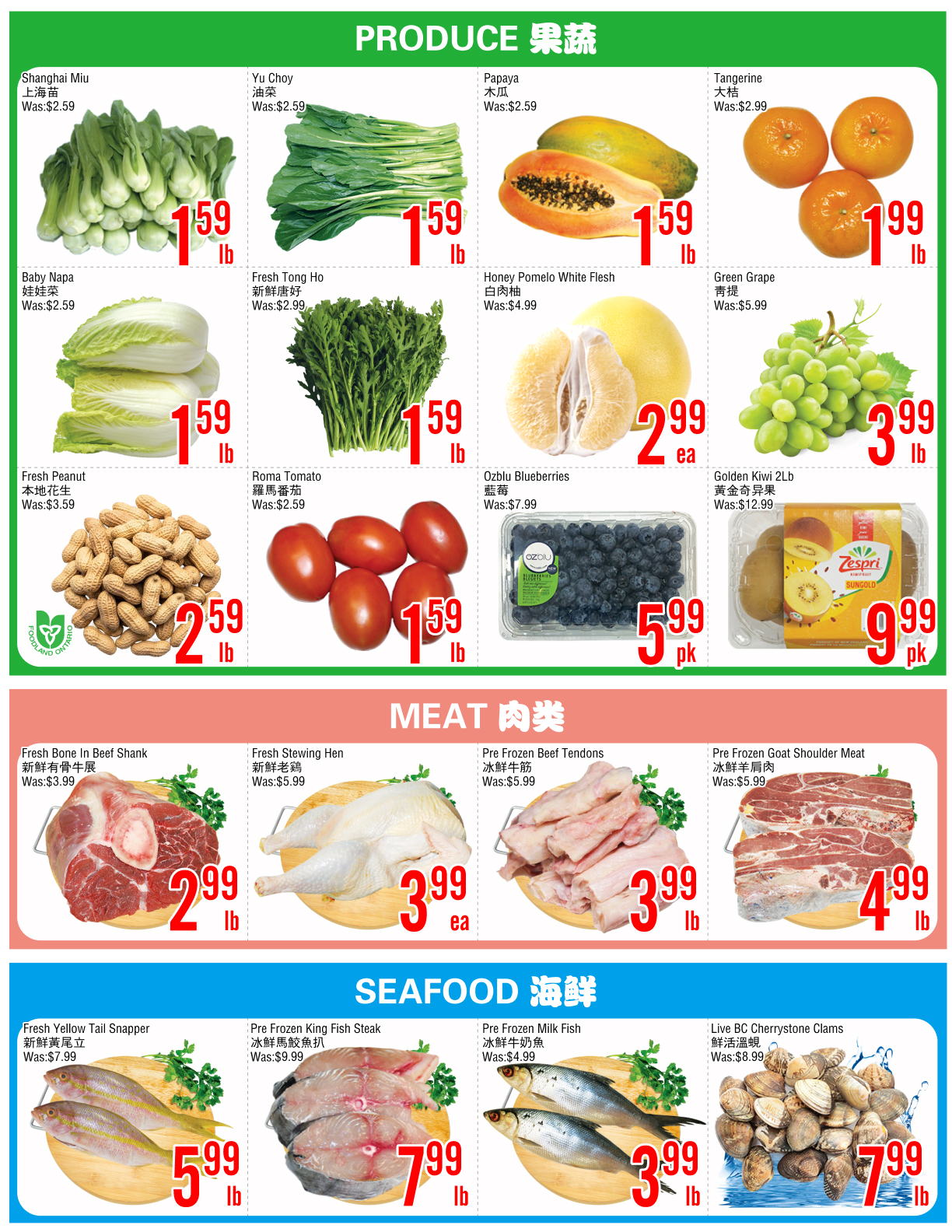 Flyer 第2页