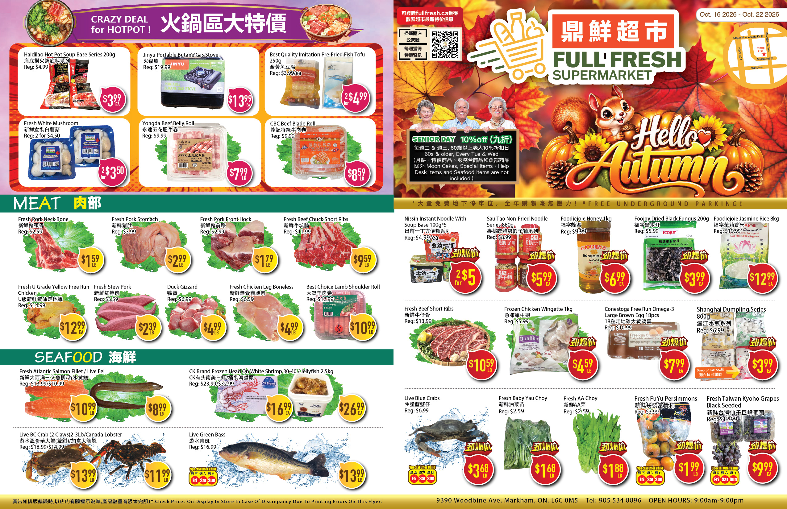 Flyer 第1页