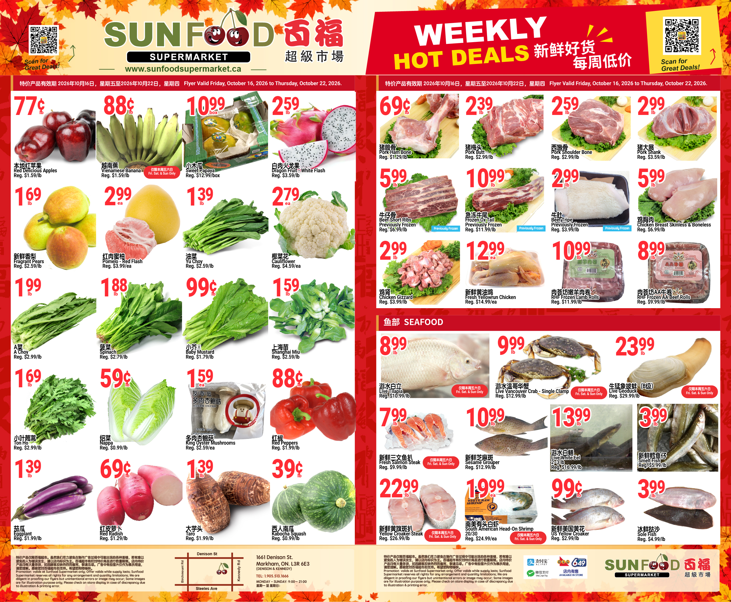 Flyer 第1页